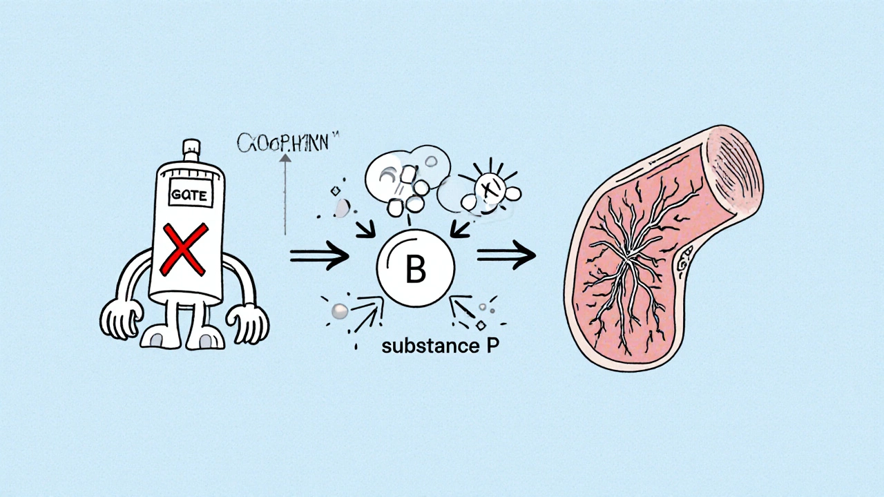 Diagram of blocked ACE enzyme causing bradykinin and substance P buildup irritating airway nerves.