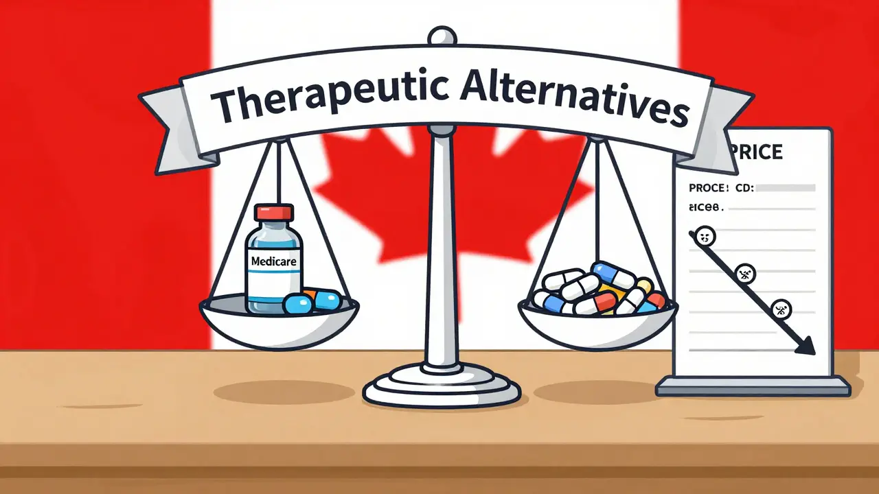 Medicare negotiation scale balancing brand drug against generic pills, with sliding price scale and Canadian flag.